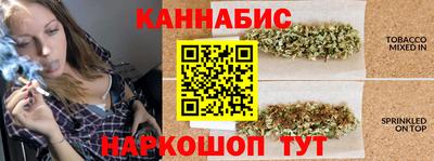 тгк Гай