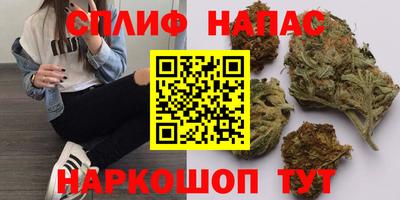 тгк Гай