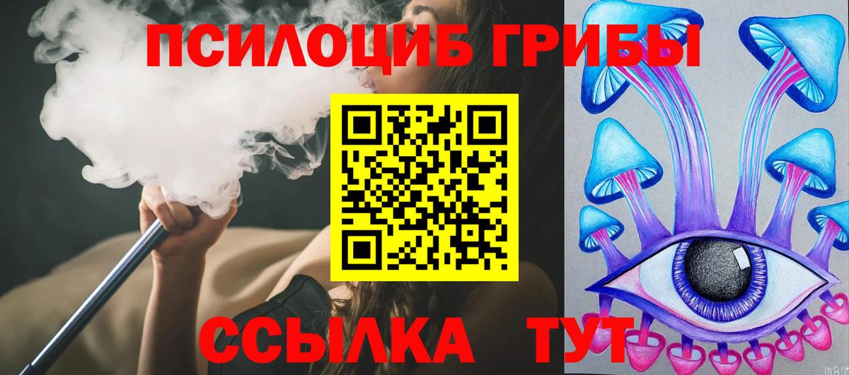 Новотроицк  Псилоцибиновые грибы мицелий  Вход с VPN 