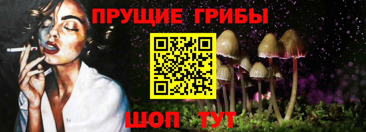 Галлюциногенные грибы ЛСД Новотроицк
